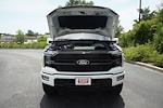 2025 Ford F-150 SuperCrew Cab 4x4 Pickup for sale #G11588A - photo 9