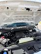 2024 Ford F-150 Regular Cab 4x2 Pickup for sale #G11965A - photo 7