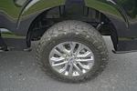 2024 Ford F-150 SuperCrew Cab 4x4 Pickup for sale #PG2592B - photo 15