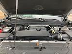 2024 GMC Canyon Crew Cab 4x4 Pickup for sale #PG2630 - photo 18