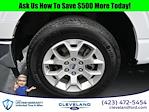 2023 Ford F-150 SuperCrew Cab 4x2 Pickup for sale #APFB69883 - photo 3