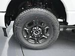 2024 Ford F-250 Crew Cab 4x4 Pickup for sale #REE94444 - photo 10