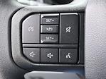 2024 Ford F-250 Crew Cab 4x4 Pickup for sale #REE94511 - photo 17