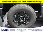 2024 Ford F-250 Crew Cab 4x4 Pickup for sale #REF70892 - photo 10