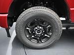 2024 Ford F-250 Crew Cab 4x4 Pickup for sale #REF71048 - photo 10