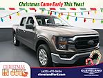 2023 Ford F-150 SuperCrew Cab 4x4 Pickup for sale #RPFC34473 - photo 1