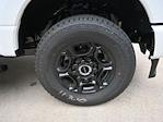 2025 Ford F-350 Crew Cab SRW 4x4 Pickup for sale #SED18650 - photo 19