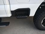 2025 Ford F-350 Crew Cab SRW 4x4 Pickup for sale #SED20306 - photo 46