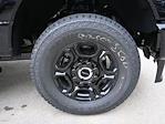 2025 Ford F-350 Crew Cab SRW 4x4 Pickup for sale #SED20366 - photo 20