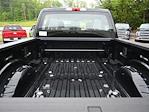 2025 Ford F-350 Crew Cab SRW 4x4 Pickup for sale #SED20366 - photo 36