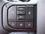 2025 Ford F-250 Crew Cab 4x4 Pickup for sale #SED21140 - photo 17