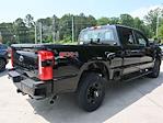 2025 Ford F-350 Crew Cab SRW 4x4 Pickup for sale #SED34080 - photo 13