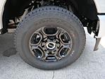 2025 Ford F-350 Crew Cab SRW 4x4 Pickup for sale #SED43851 - photo 18