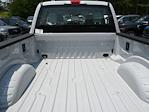 2025 Ford F-350 Crew Cab SRW 4x4 Pickup for sale #SED43851 - photo 34