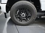2025 Ford F-250 Crew Cab 4x4 Pickup for sale #SED59188 - photo 9