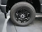 2025 Ford F-250 Crew Cab 4x4 Pickup for sale #SED69090 - photo 9
