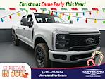 2025 Ford F-250 Crew Cab 4x4 Pickup for sale #SED72990 - photo 1