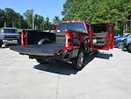 2025 Ford F-350 Crew Cab SRW 4x4 Pickup for sale #SEE08091 - photo 31