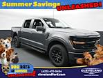 2025 Ford F-150 SuperCrew Cab 4x4 Pickup for sale #SFA05740 - photo 1