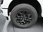 2025 Ford F-150 SuperCrew Cab 4x4 Pickup for sale #SFA80922 - photo 10