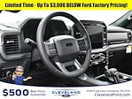 2025 Ford F-150 SuperCrew Cab 4x4 Pickup for sale #SFA90820 - photo 15