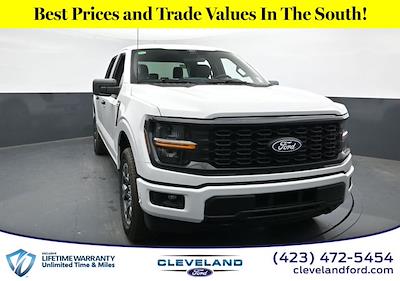 2025 Ford F-150 SuperCrew Cab 4x4 Pickup for sale #SFB07582 - photo 1