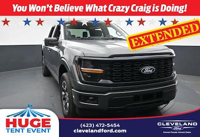 2025 Ford F-150 SuperCrew Cab 4x4 Pickup for sale #SFB09228 - photo 1
