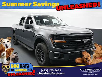 2025 Ford F-150 SuperCrew Cab 4x4 Pickup for sale #SKD03405 - photo 1