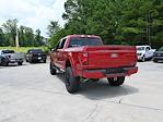 2025 Ford F-150 SuperCrew Cab 4x4 Pickup for sale #SKD03639 - photo 12