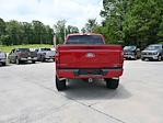 2025 Ford F-150 SuperCrew Cab 4x4 Pickup for sale #SKD03639 - photo 13