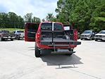 2025 Ford F-150 SuperCrew Cab 4x4 Pickup for sale #SKD03639 - photo 30