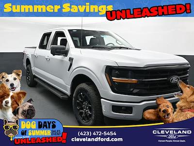 2025 Ford F-150 SuperCrew Cab 4x4 Pickup for sale #SKD04239 - photo 1