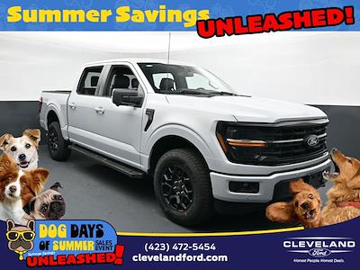 2025 Ford F-150 SuperCrew Cab 4x4 Pickup for sale #SKD04558 - photo 1