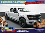 2025 Ford F-150 SuperCrew Cab 4x4 Pickup for sale #SKD04558 - photo 1