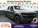 2025 Ford F-150 SuperCrew Cab 4x4 Pickup for sale #SKD04656 - photo 1