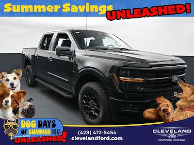 2025 Ford F-150 SuperCrew Cab 4x4 Pickup for sale #SKD38304 - photo 1