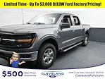 2025 Ford F-150 SuperCrew Cab 4x4 Pickup for sale #SKD43645 - photo 1