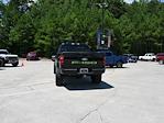 2025 Ford F-150 SuperCrew Cab 4x4 Pickup for sale #SKE03438 - photo 16