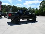 2025 Ford F-150 SuperCrew Cab 4x4 Pickup for sale #SKE03438 - photo 17