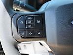 2025 Ford F-150 SuperCrew Cab 4x4 Pickup for sale #SKE03438 - photo 35