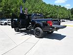 2025 Ford F-150 SuperCrew Cab 4x4 Pickup for sale #SKE03438 - photo 66