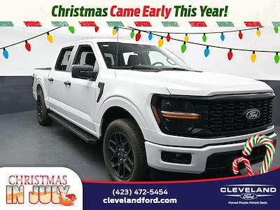 2025 Ford F-150 SuperCrew Cab 4x4 Pickup for sale #SKE05741 - photo 1