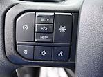 2025 Ford F-150 SuperCrew Cab 4x4 Pickup for sale #SKE05741 - photo 16