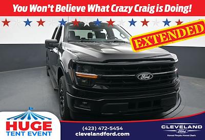 2025 Ford F-150 SuperCrew Cab 4x2 Pickup for sale #SKE09205 - photo 1
