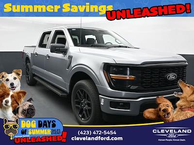 2025 Ford F-150 SuperCrew Cab 4x4 Pickup for sale #SKE10211 - photo 1