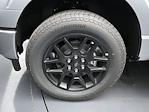 2025 Ford F-150 SuperCrew Cab 4x4 Pickup for sale #SKE10211 - photo 9