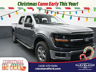 2025 Ford F-150 SuperCrew Cab 4x4 Pickup for sale #SKE13430 - photo 1