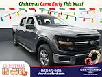 2025 Ford F-150 SuperCrew Cab 4x4 Pickup for sale #SKE13430 - photo 1