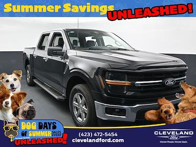 2025 Ford F-150 SuperCrew Cab 4x2 Pickup for sale #SKE14295 - photo 1