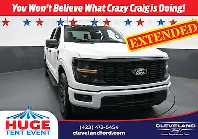 2025 Ford F-150 SuperCrew Cab 4x4 Pickup for sale #SKE16350 - photo 1